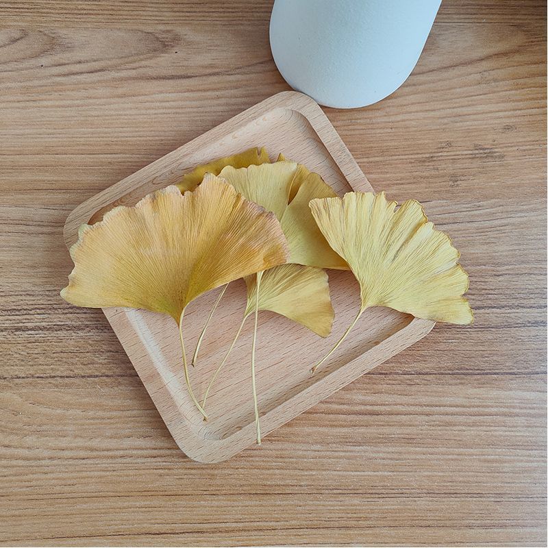 أوراق الجنكو بيلوبا الطبيعية ا - مراجعة Natural Making Soap وسعره